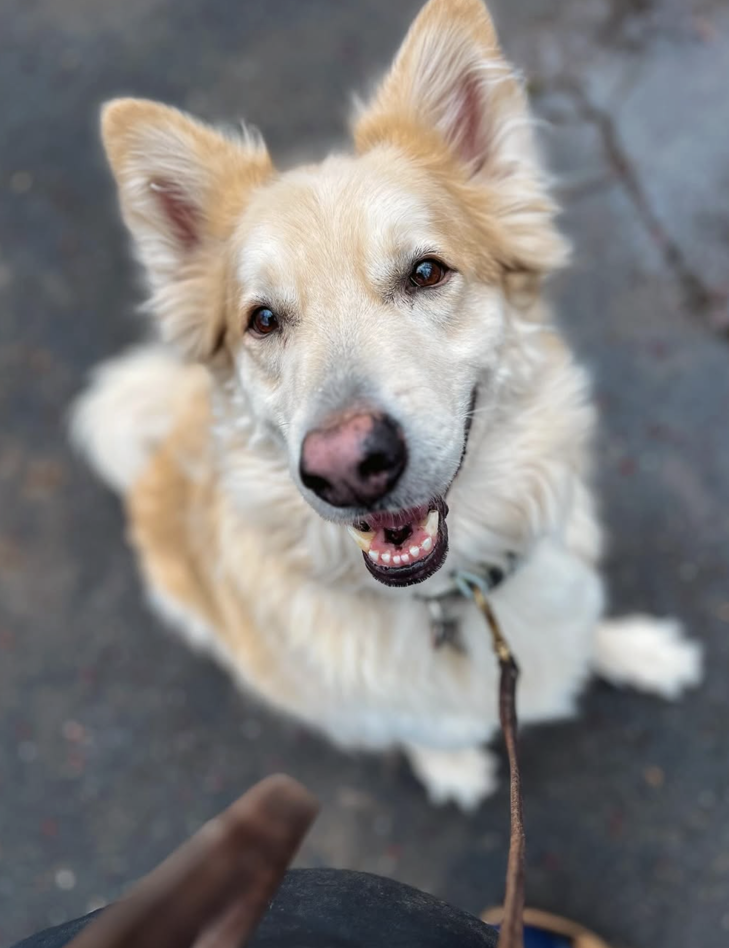 Screenshot 2025-10-24 at 2.37.21 PM