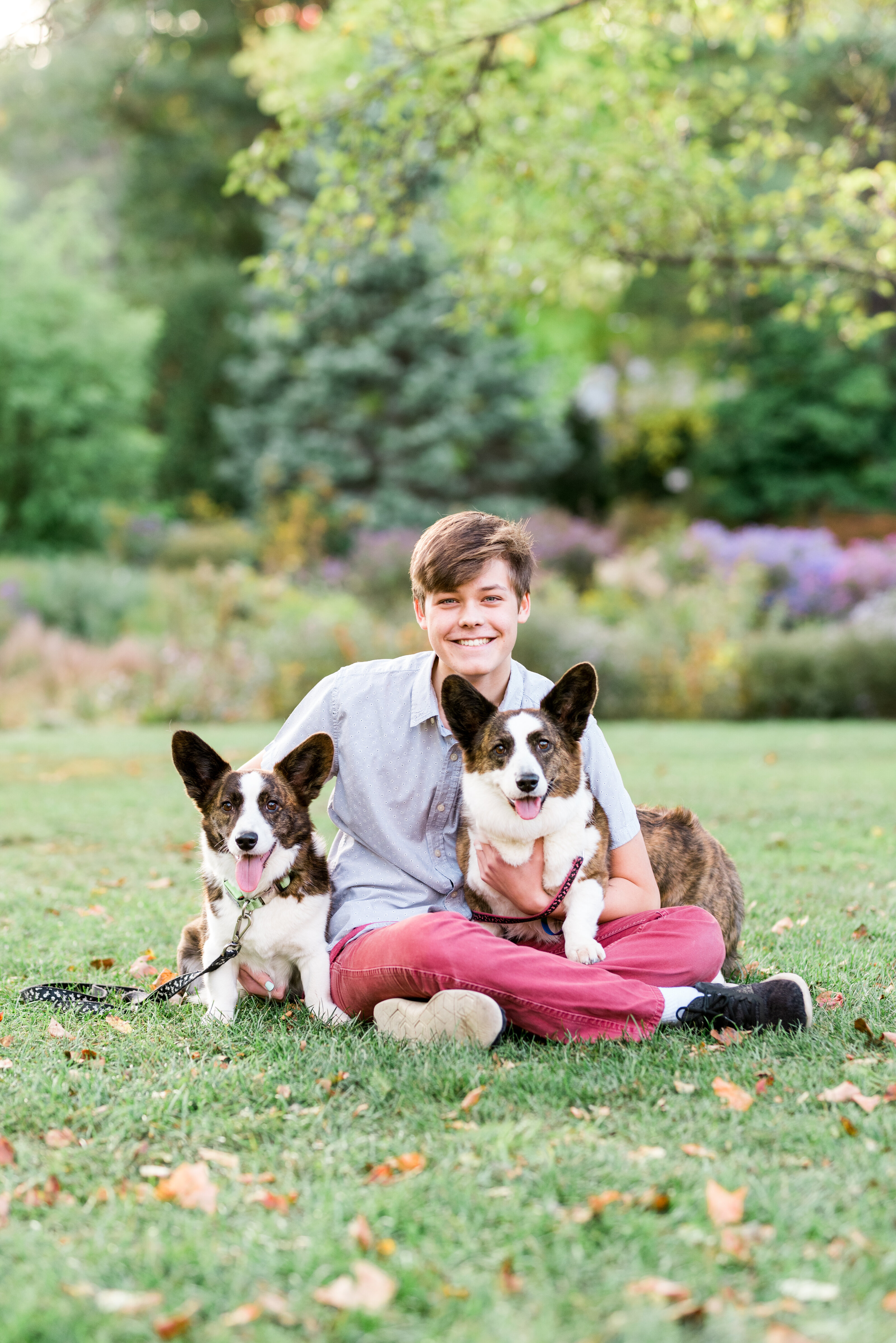 Senior Portrait with dogs