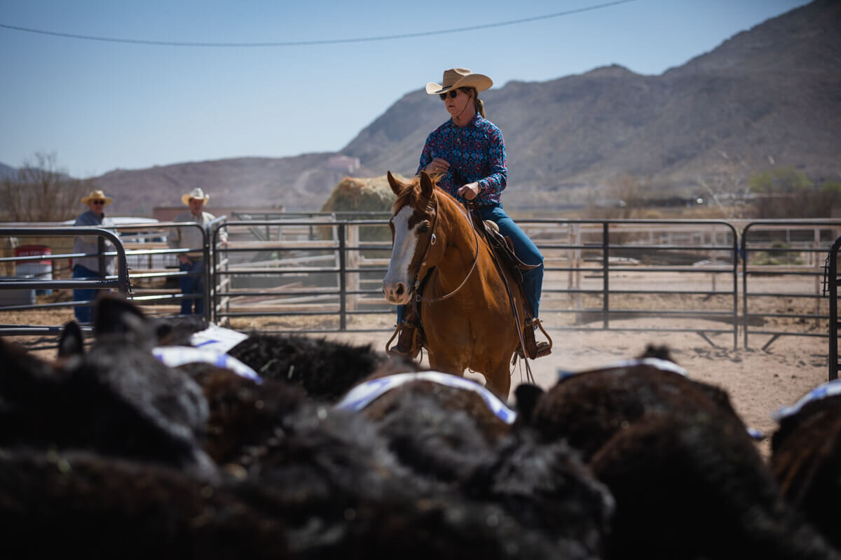 El-Paso-Texas-Horse-Show-Photographer-014