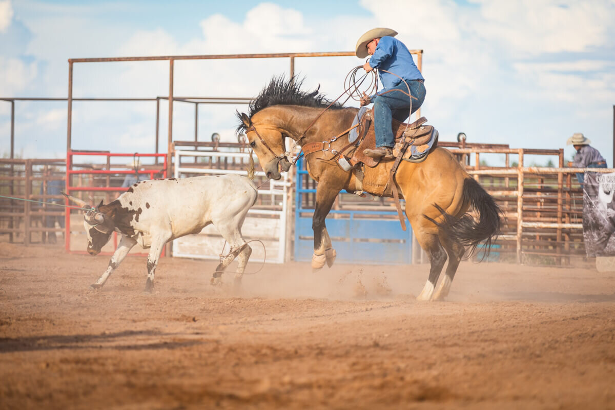 El-Paso-Texas-Horse-Show-Photographer-016