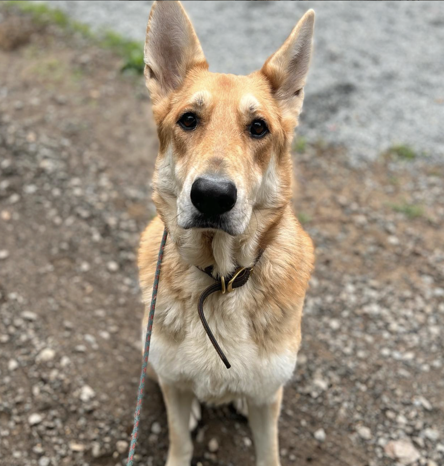 Screenshot 2025-10-24 at 2.40.05 PM