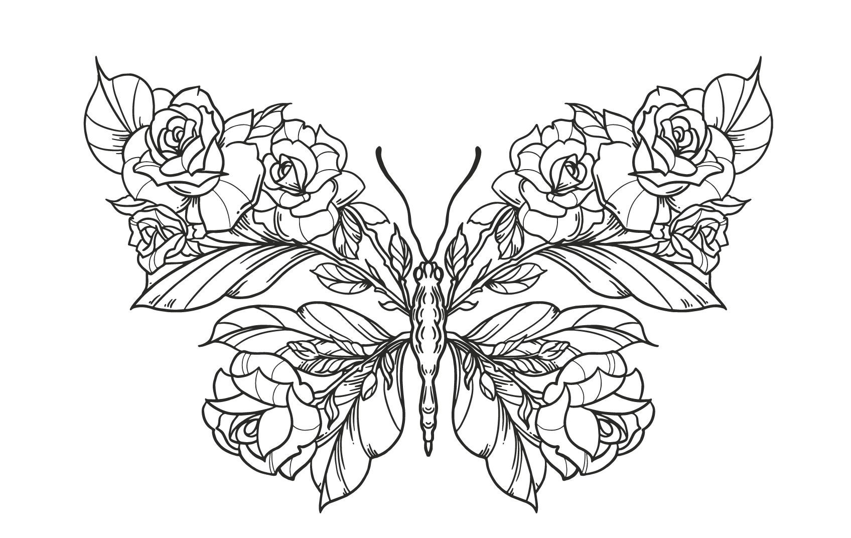 custom illustrations and logos for photographers 53