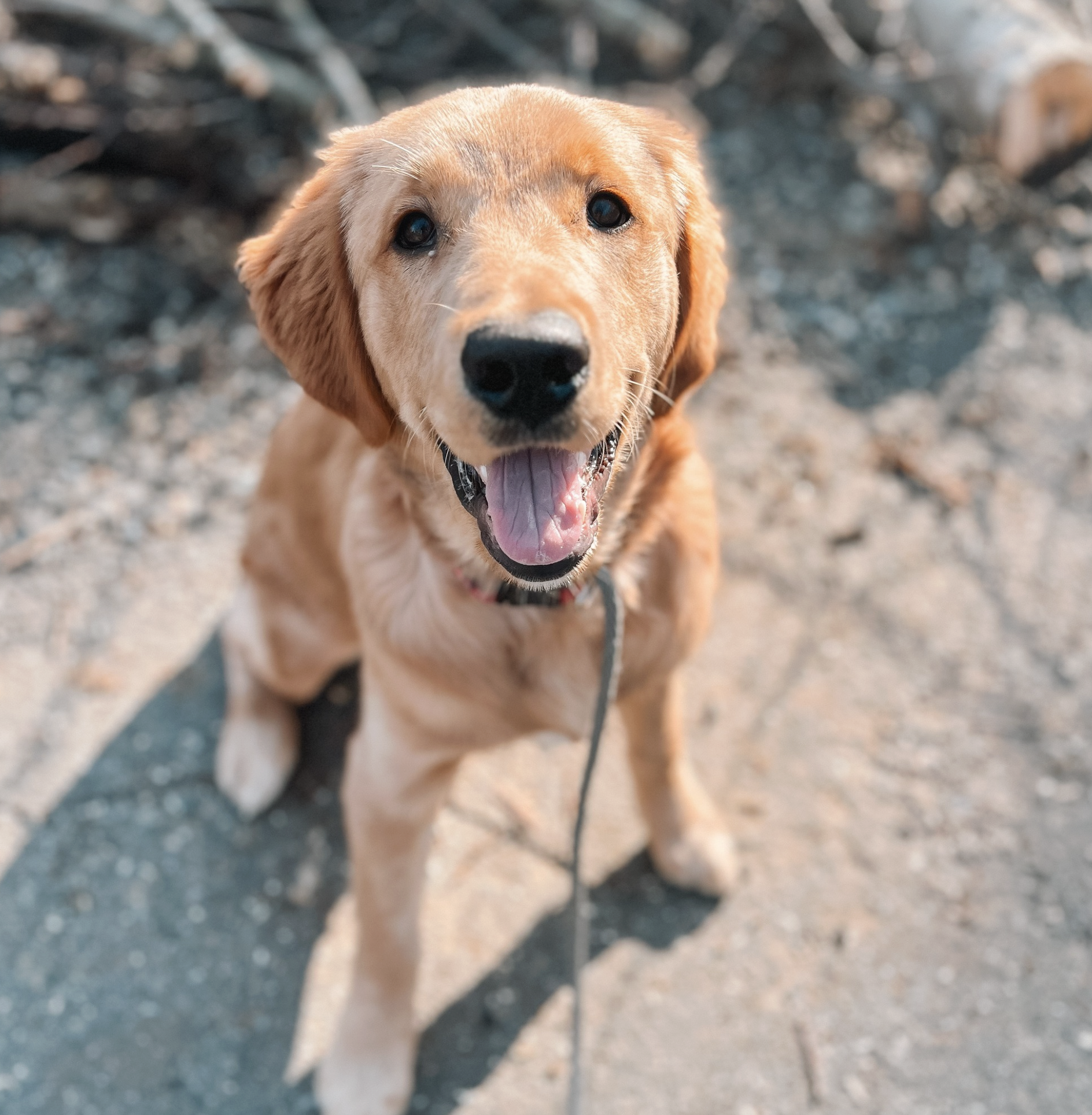 Screenshot 2025-10-24 at 2.37.48 PM