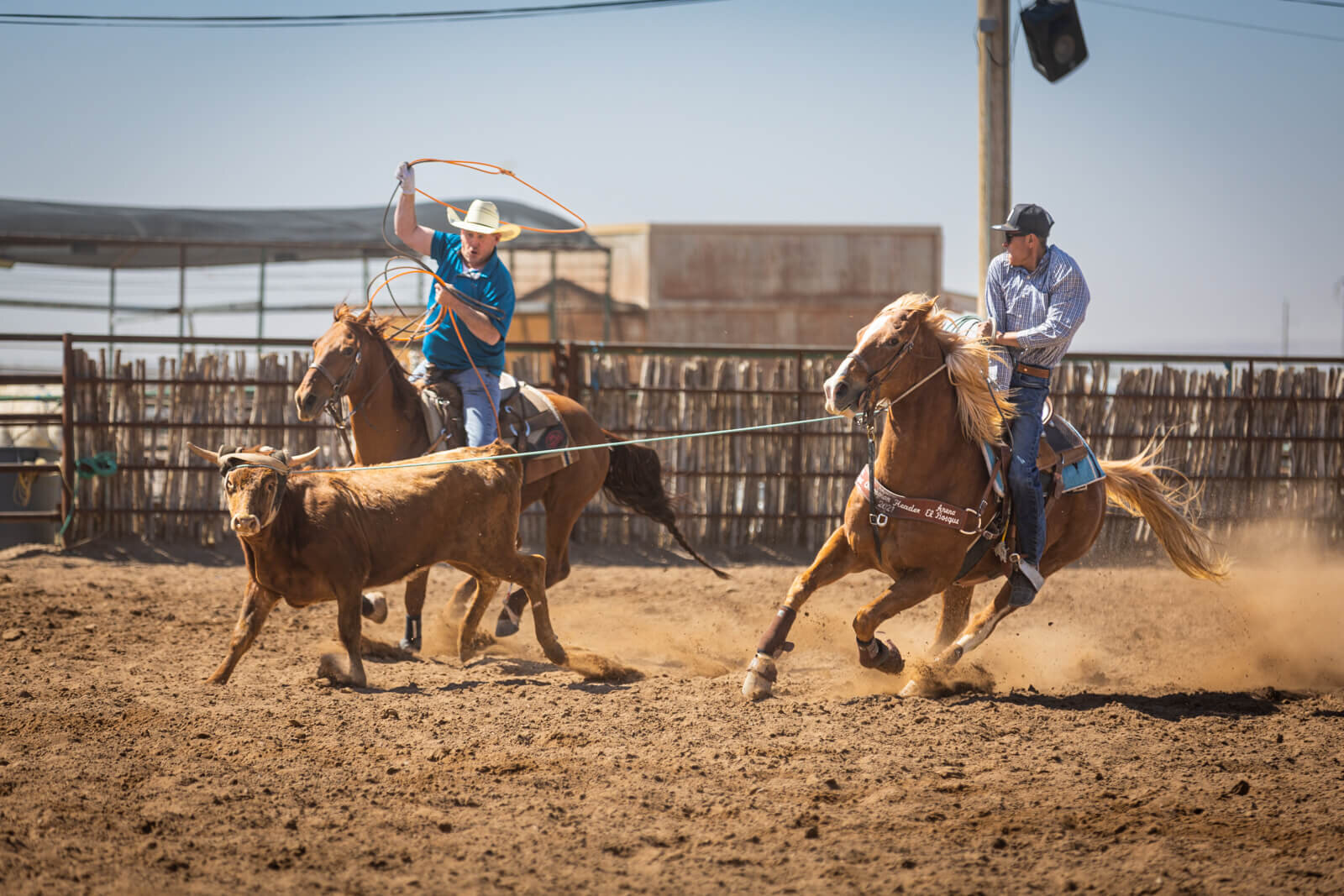 El-Paso-Texas-Horse-Show-Photographer-006