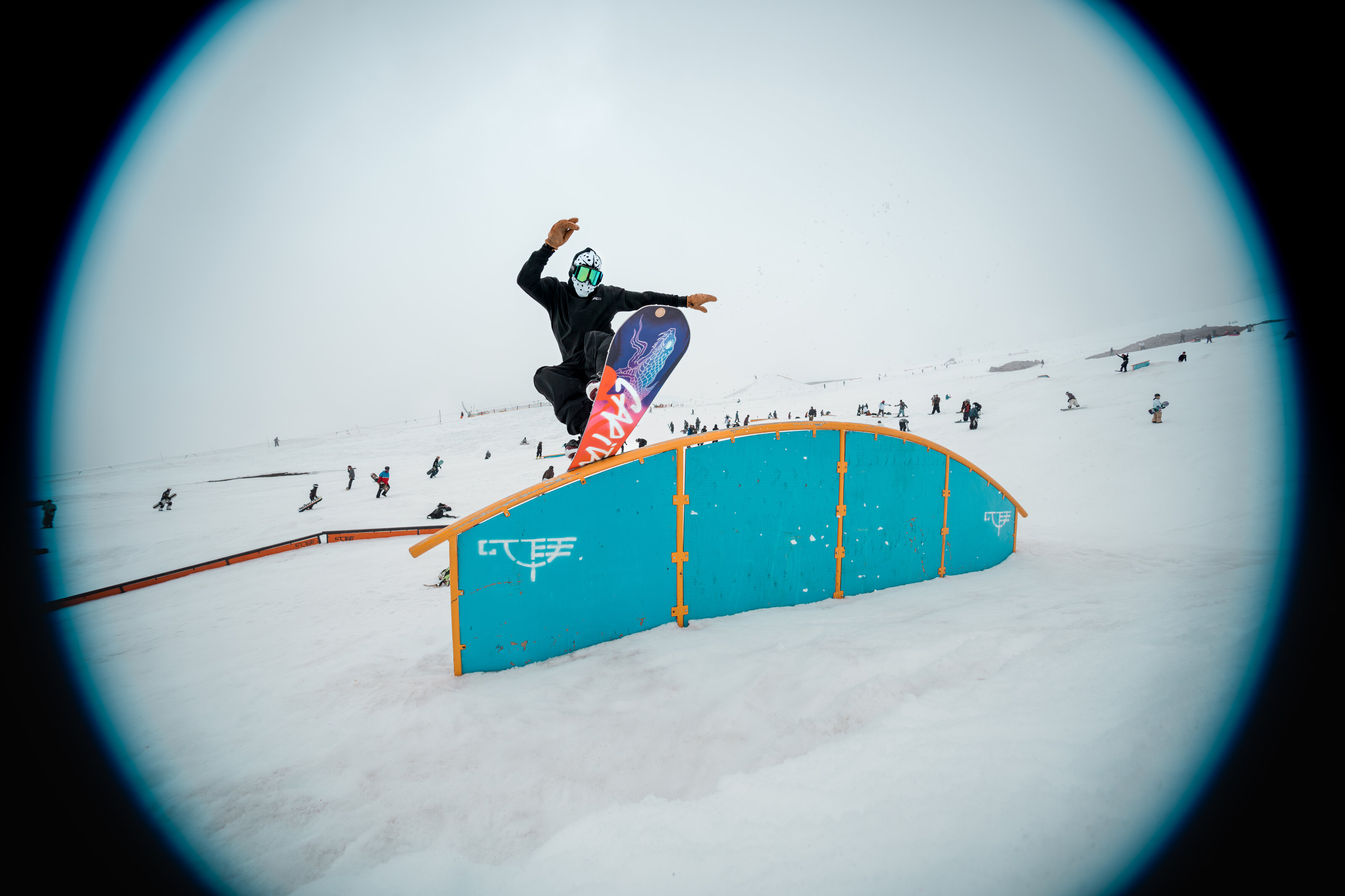 SCOTT STEVENS RAINBOW-7