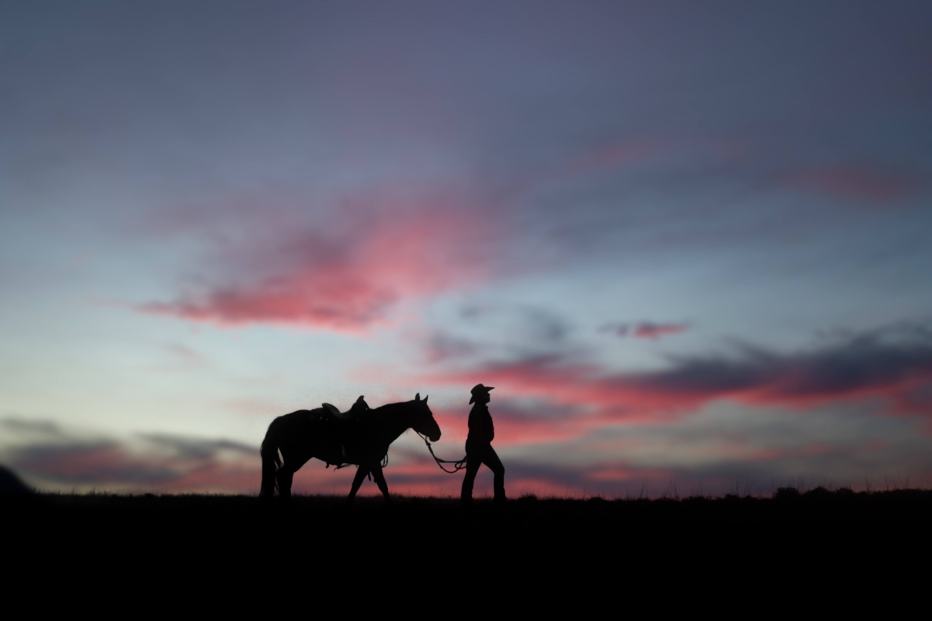 El-Paso-Texas-Horse-Photographer-011
