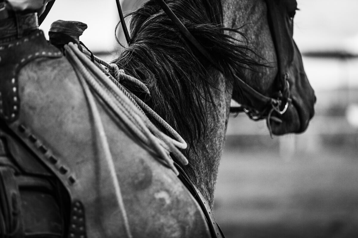 El-Paso-Texas-Horse-Show-Photographer-026