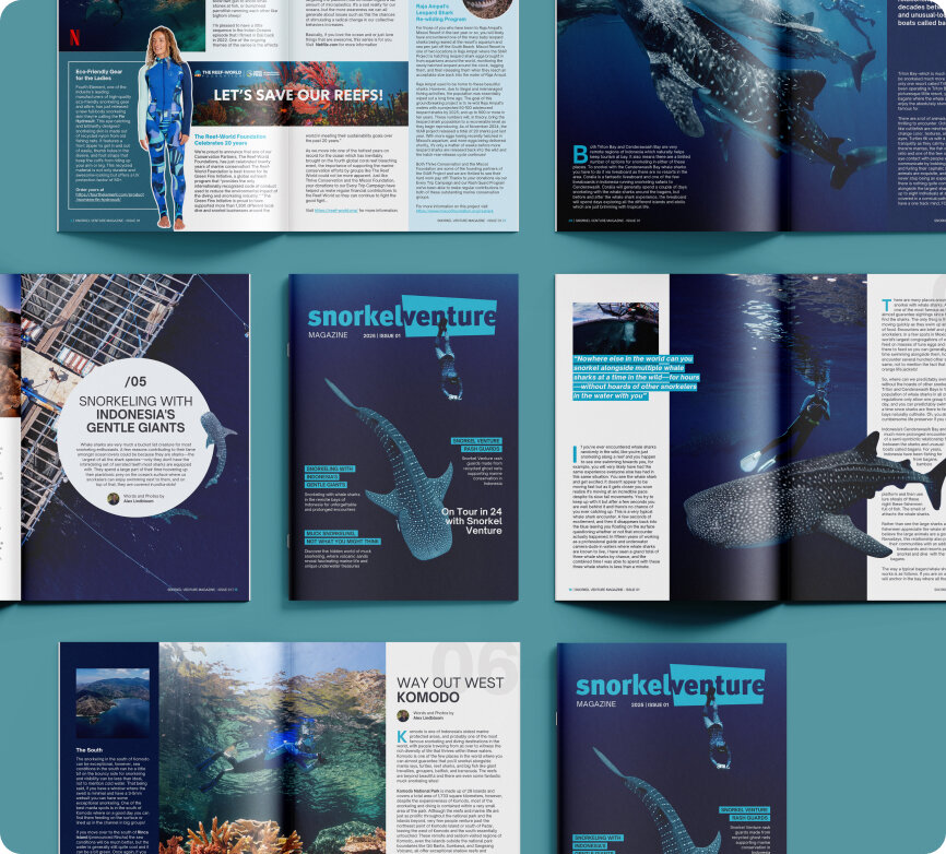 sv magazine