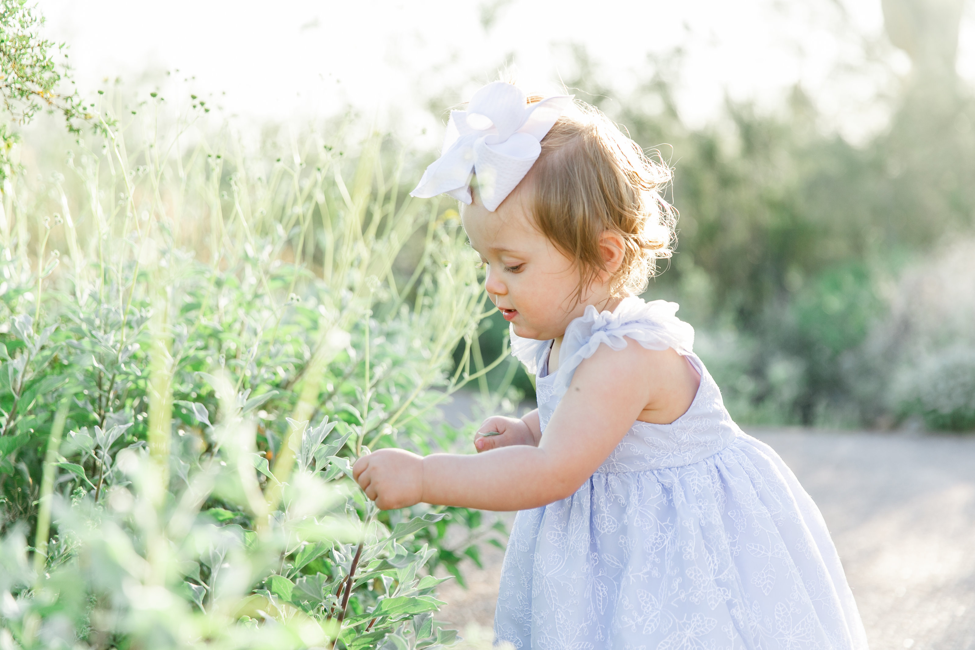 Karlie Colleen Photography - Scottsdale family photography - Dymin & family-70
