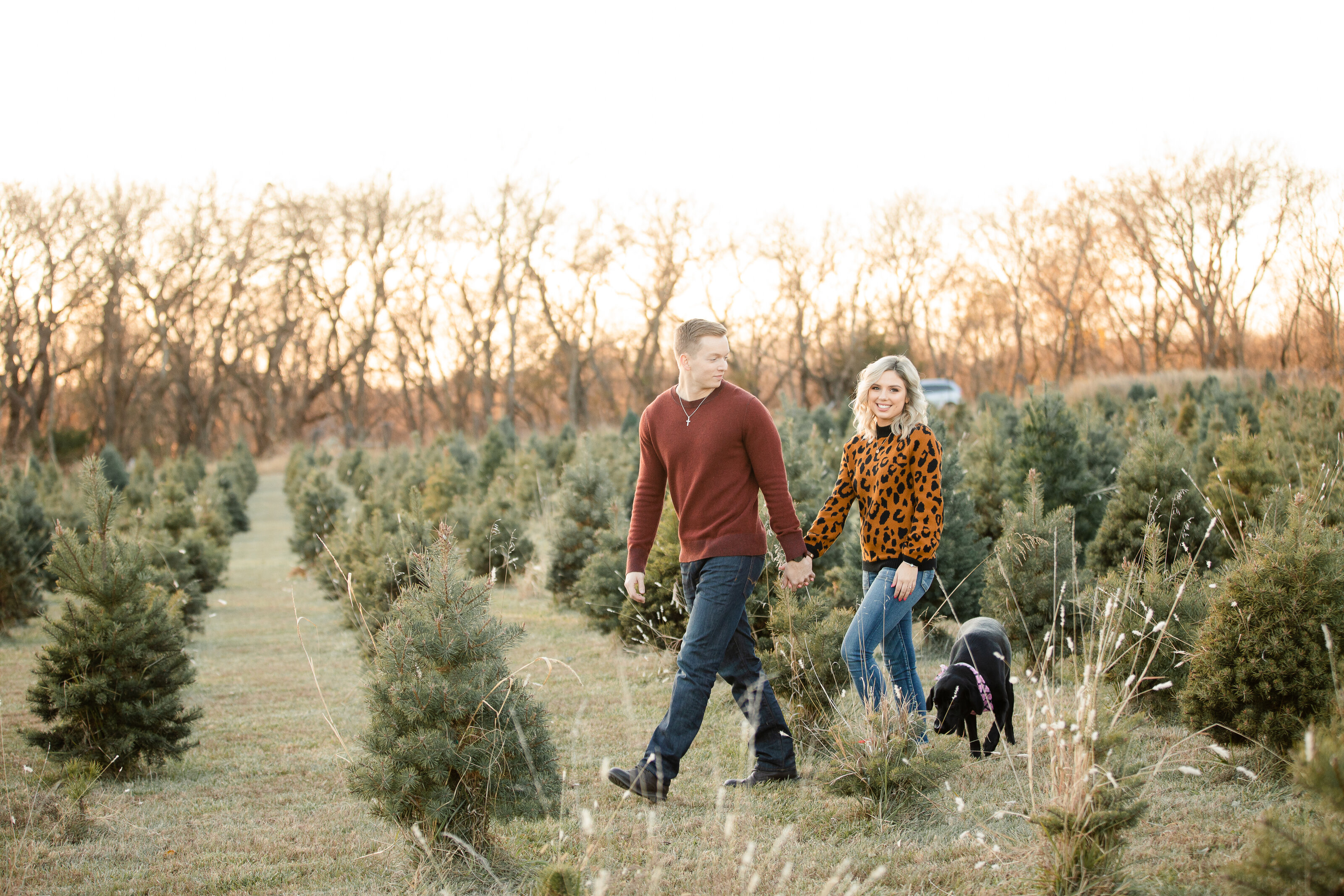 Christmas tree farm-176