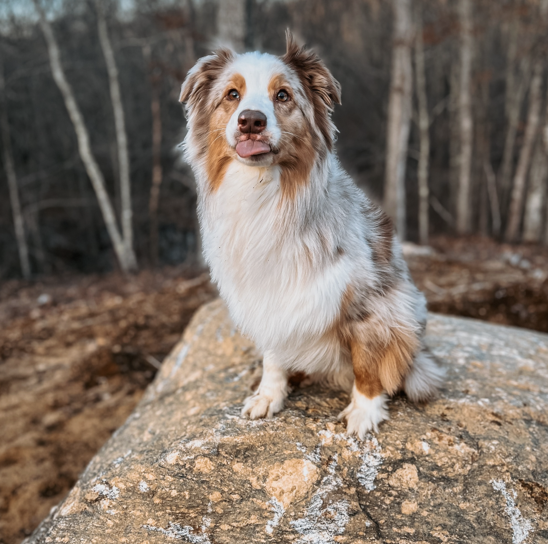 Screenshot 2025-10-24 at 2.38.01 PM