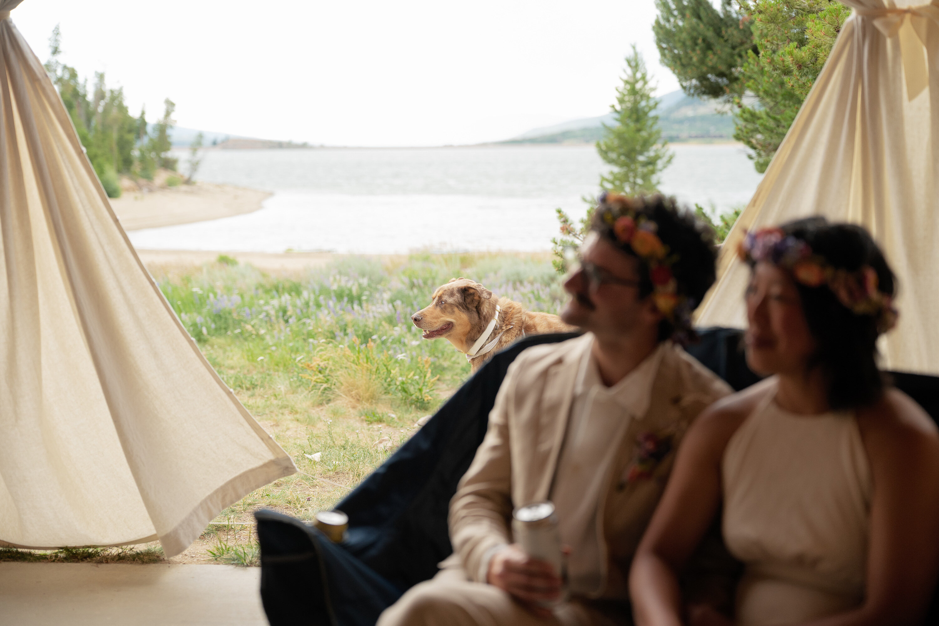 charles-vivian-wedding-0772