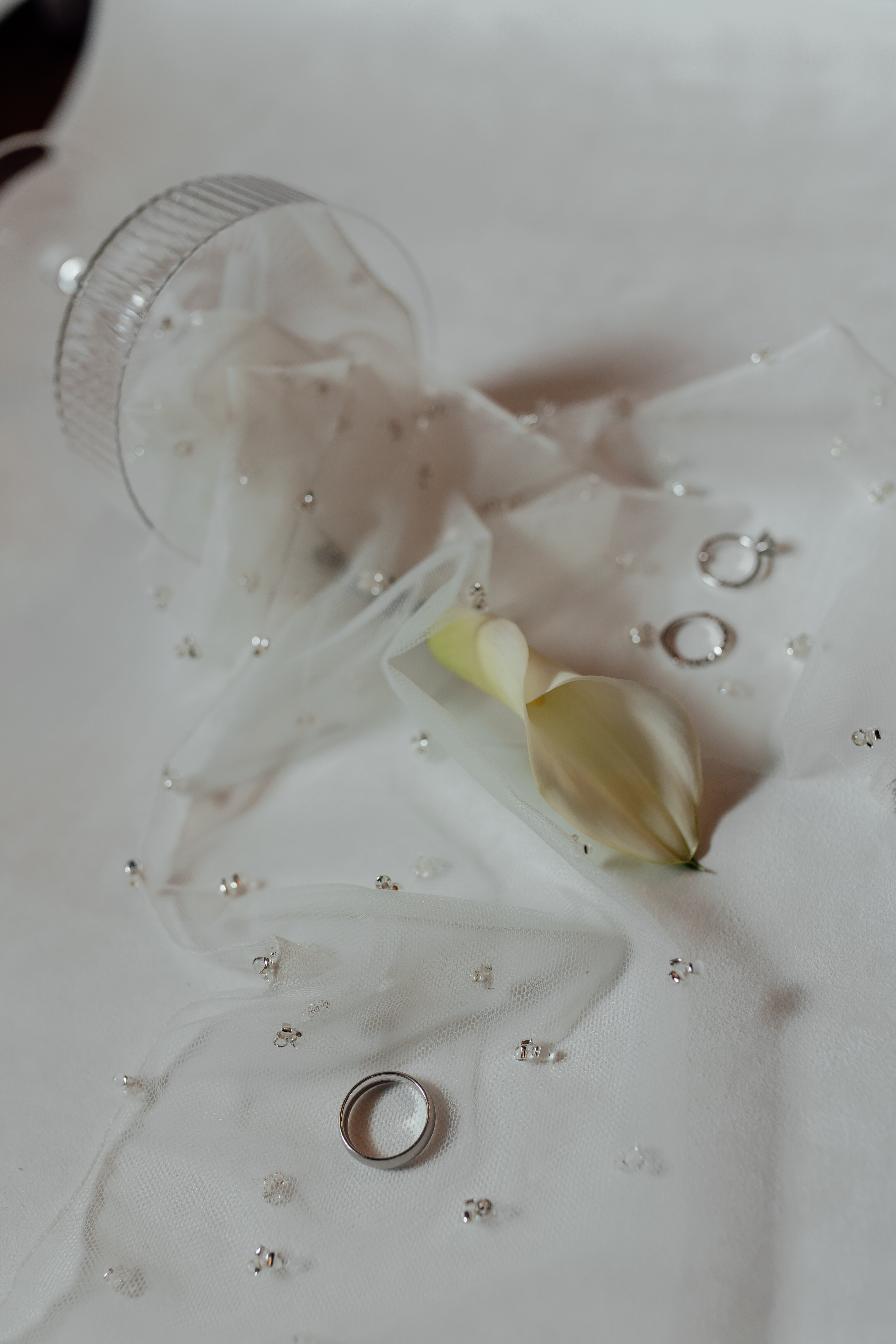 DSL_0839