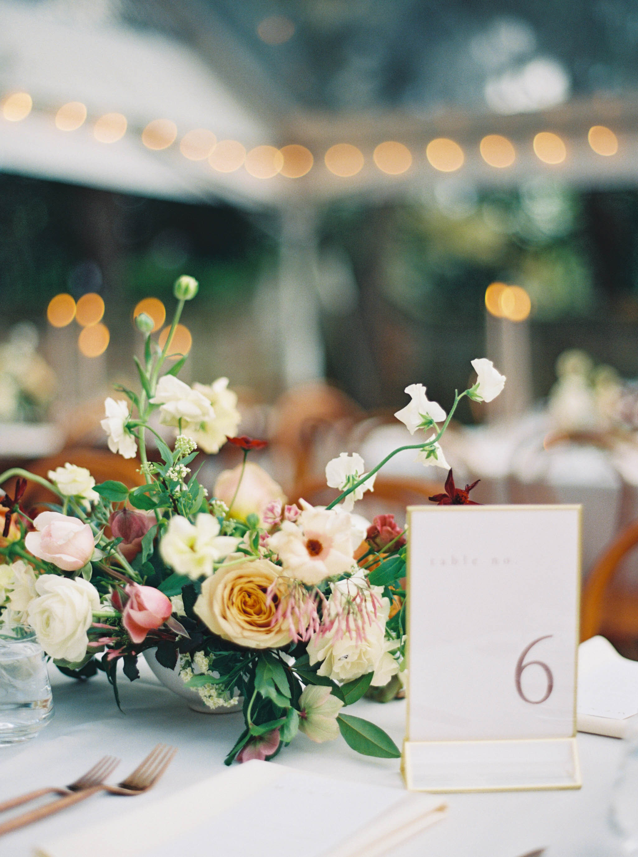 Spring Garden Wedding- Alex Krall Photography-47