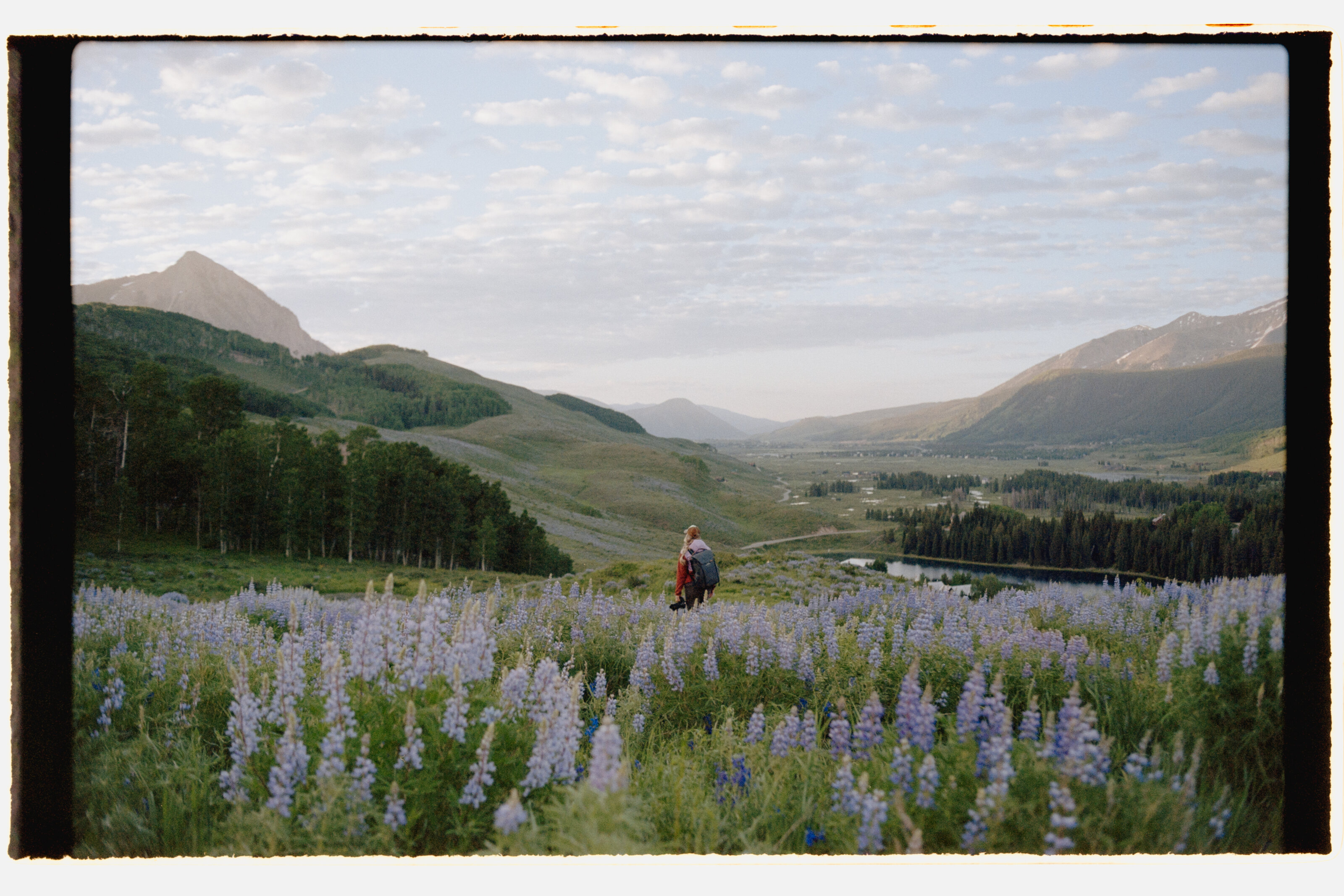 CB, Whetstone Lupine Sunrise-6