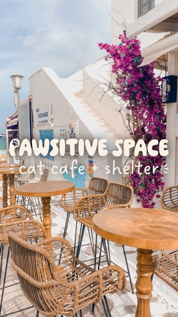 pawsitive space 2  