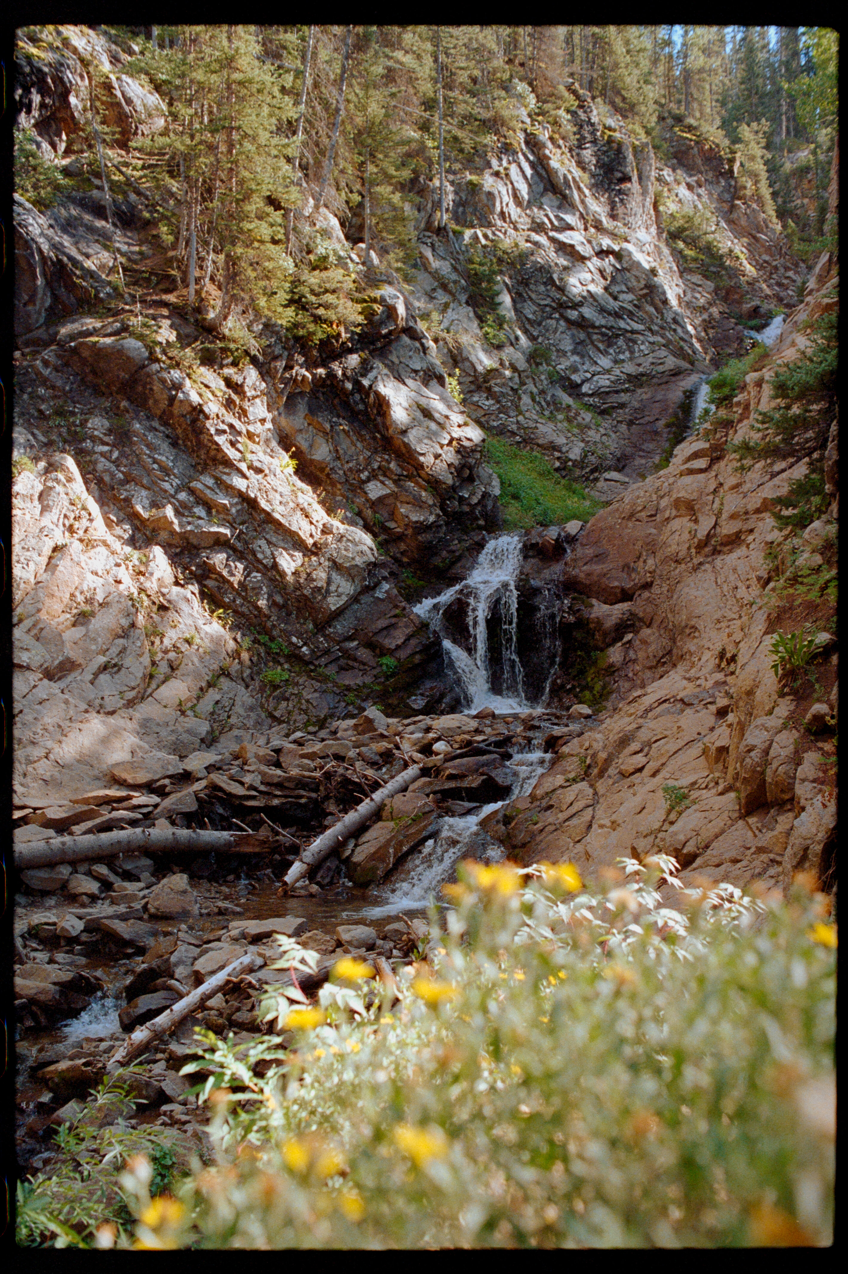 CB, Lost Lake Summer Hiking-5