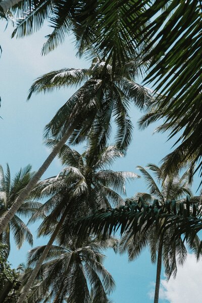 pexels-dương-nhân-3042374