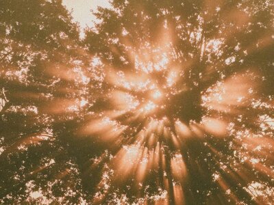 i-see-the-light