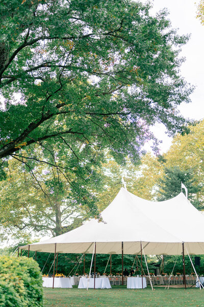 Margaret James Photography by Rebecca Harold Pittsburgh Pennsylvania Wedding Engagement Photography Photographer Timeless Classic Nostalgic Style 17