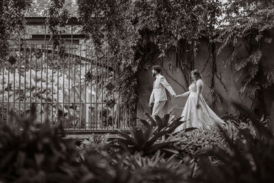 Wedding Photography at Maleny