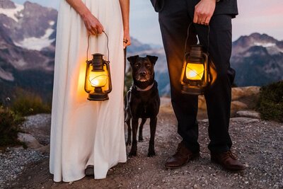 A dog who attended a Washington Elopement at Artist Point captured by Washington Elopement Photographer Sage Trails.
