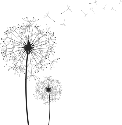 dandelion-silhouette-clip-art-12