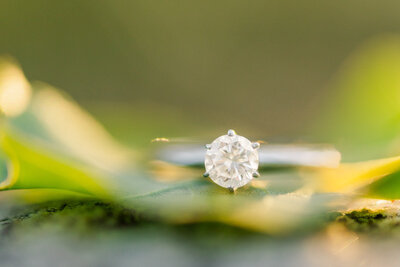 simple engagement ring on glowing colorful leaves at sunset