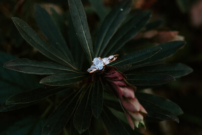 italian dolomites elopement ring shot