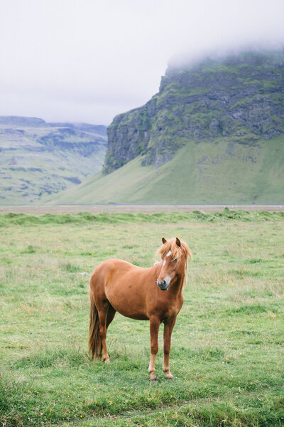 Kate Preftakes in Iceland