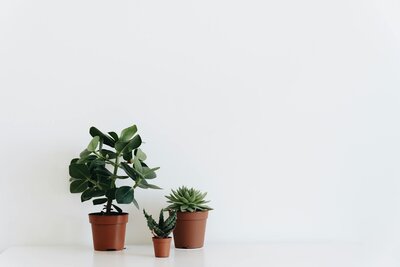 Child and Teen Therapy and Counseling