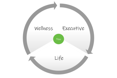 Wellness, Life, and Executive Coaching model