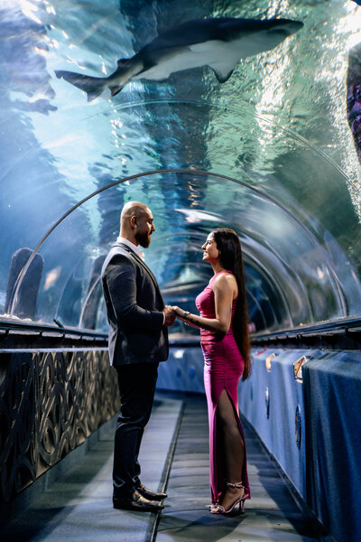 Mariam and Nawar standing in the the in the aquarium holdings hands and looking at each other as a shark swims above them