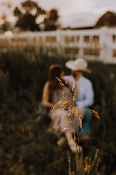 maternity photo in open field with wheat grass in foreground