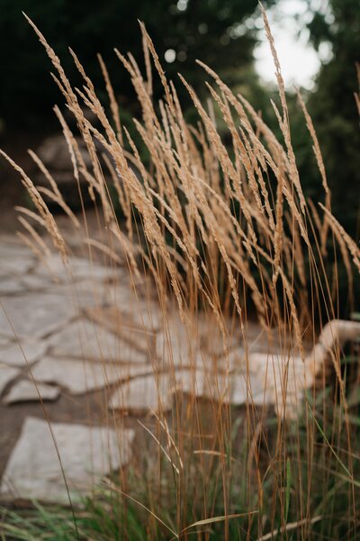 Sonia & Hugo album_8