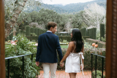 Couple in dress clothes standing in front of vast garden holding hands and looking at each other