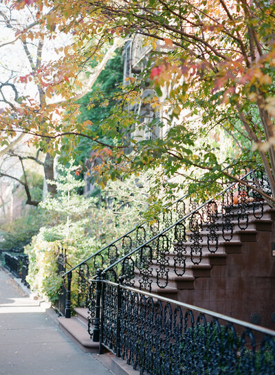 2015_Claire_James_0007