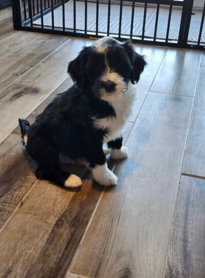 76795a4a-2fd0-4df7-b70d-d8073ac36226