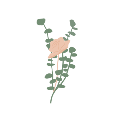 Illustration of pink rose with green leaves.