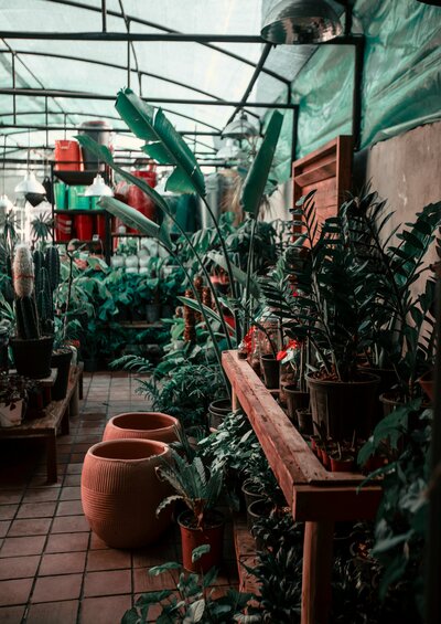shayan-rostami-vxwxFpiVFaw-unsplash
