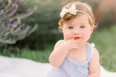 lavender-field-mini-sessions