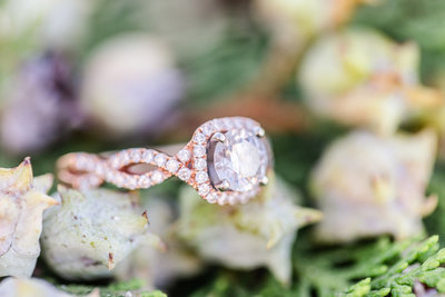 brandon_carleigh_engaged-2323
