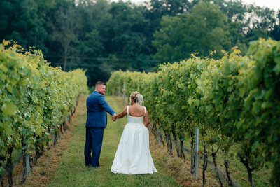 bride and groom walking off into the distance between the grape vines of the Virginia vineyard wedding venue