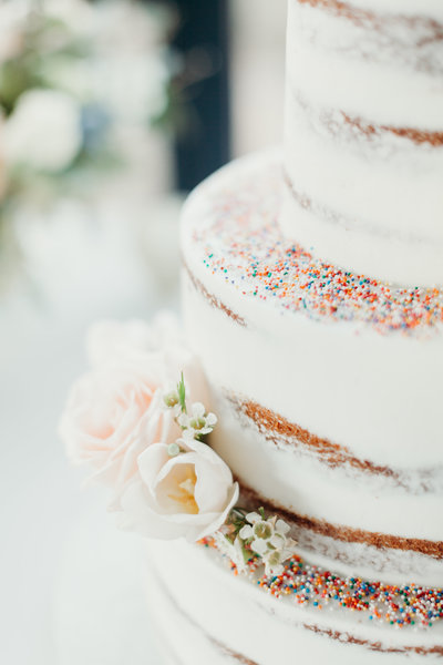 Colorado Arizona Utah Best Adventure Elopement Wedding Photographer Outdoor Nontraditional Destination Sprinkles Naked Cake Flowers