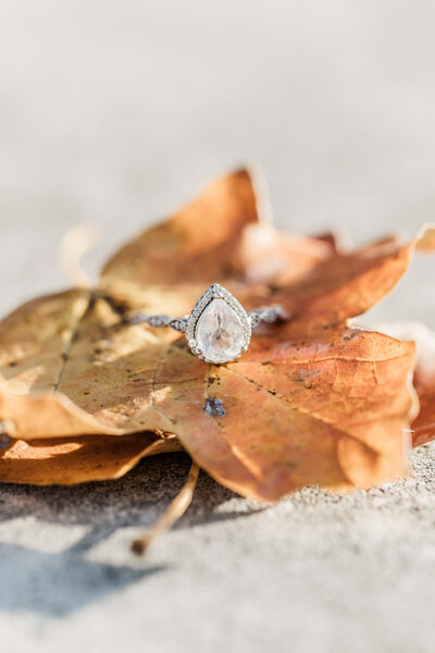 katie_brandon_engaged-1295