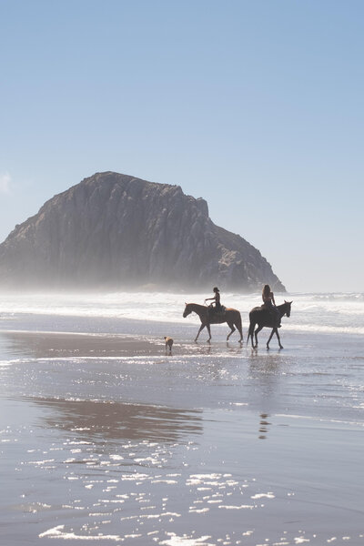 Elopement filmmaker documenting a love story with raw emotion and artistry.