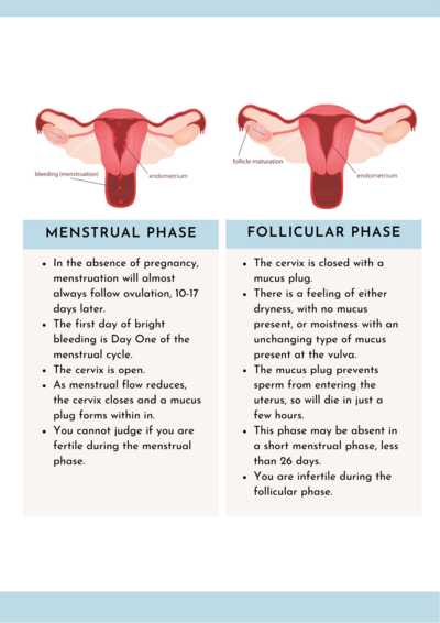 Pre Conception Health Checklist (1)