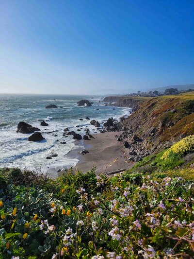 Wildflowers on a grassy cliff overlooking a rugged California coastline with rocky outcrops in the ocean and waves crashing against the shore under a clear blue sky ©Stephanie Dosch | theViatrix Luxury Travel