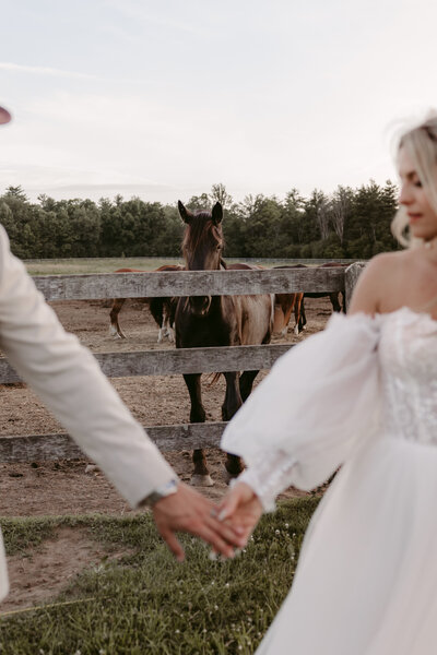 StyledHorseBridal_2025_DanicaOlivaPhotos_152