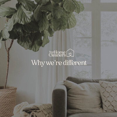 BRAND IDENTITY - YOUR HOME CLEANERS ABBOTSFORD GRAPHIC DESIGN STUDIO